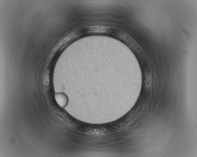 X0000112040731200909141117