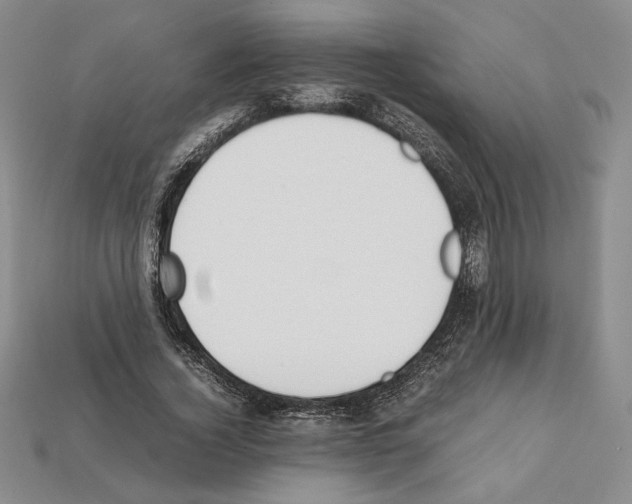 X0000112040732200909141117