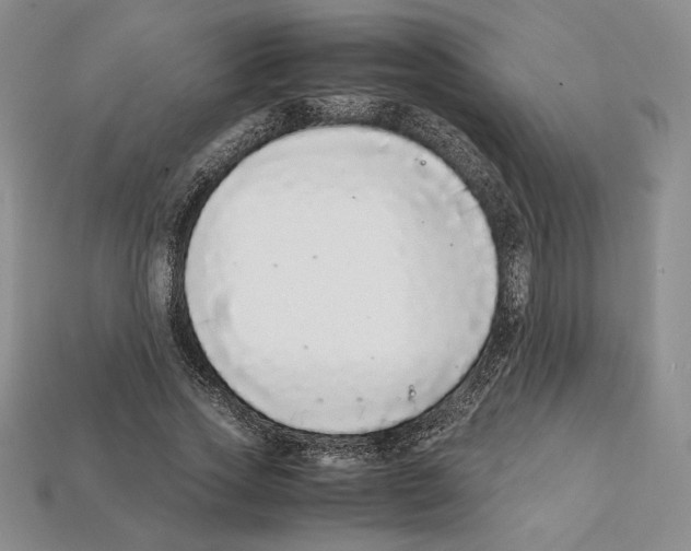 X0000112040733200909141117