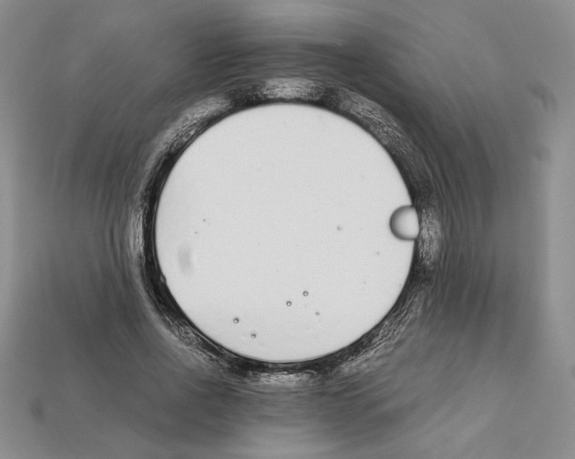X0000112040734200909141117