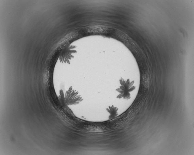 X0000112040735200909141117