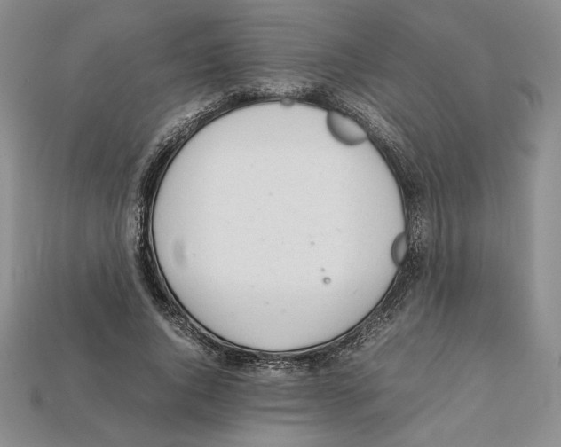 X0000112040736200909141117