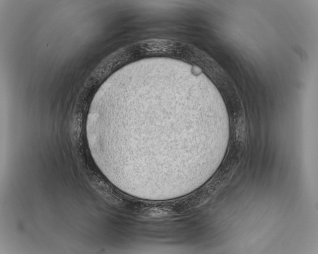 X0000112040737200909141117