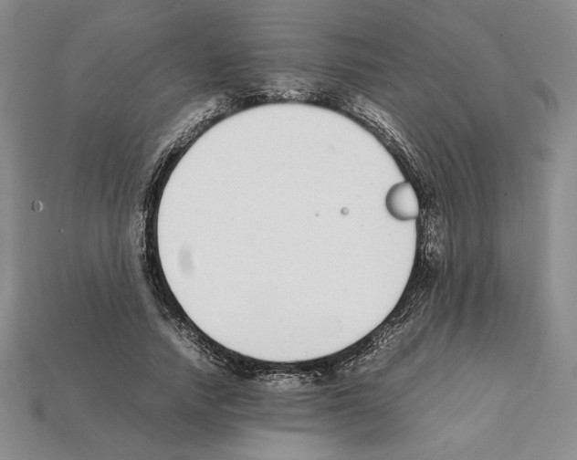 X0000112040738200909141117