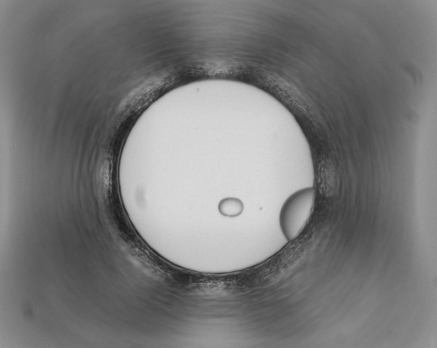 X0000112040740200909141117