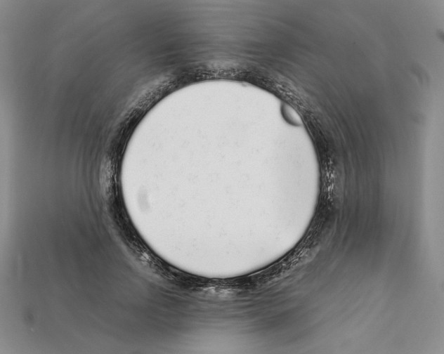 X0000112040742200909141117