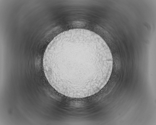 X0000112040745200909141117