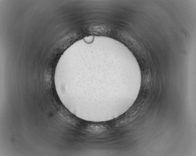 X0000112040749200909141117