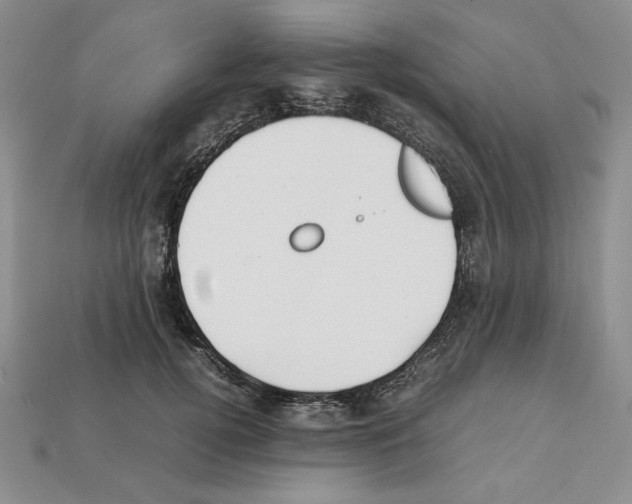 X0000112040752200909141117