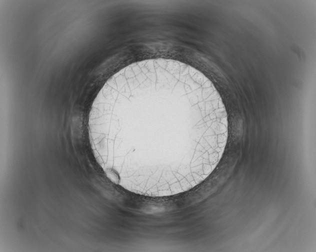 X0000112040757200909141117
