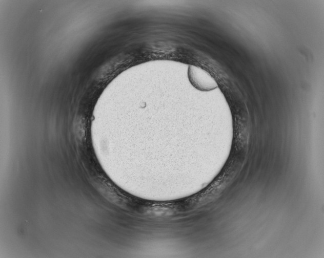 X0000112040758200909141117