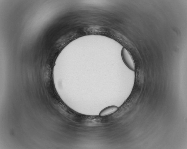 X0000112040760200909141117