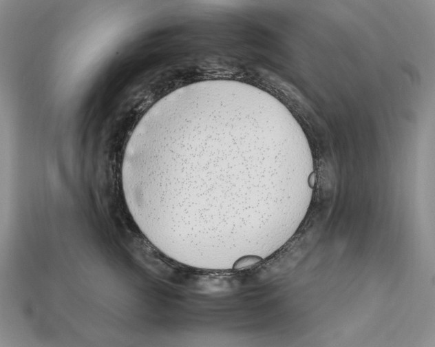 X0000112040761200909141117