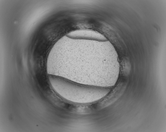X0000112040762200909141117