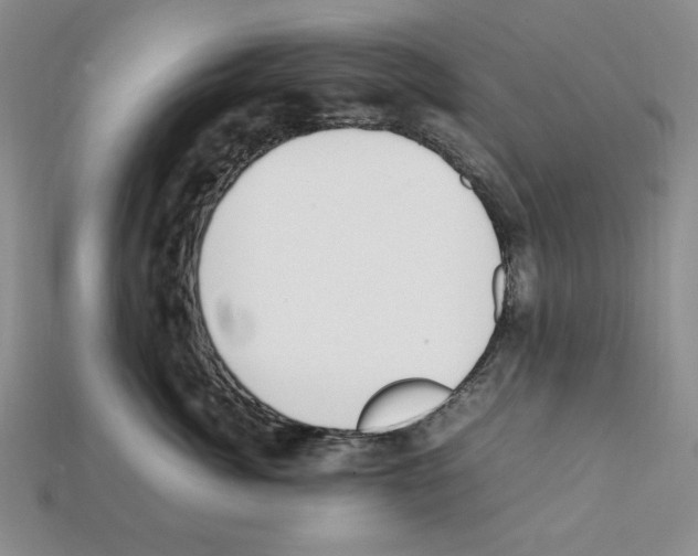 X0000112040764200909141117