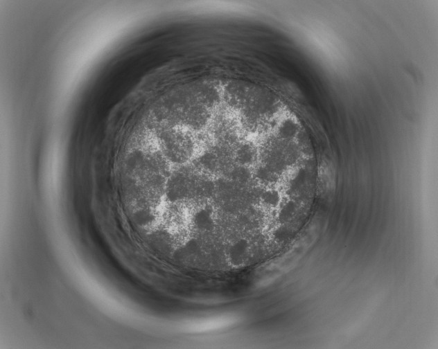 X0000112040765200909141117