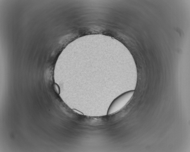 X0000112040768200909141117