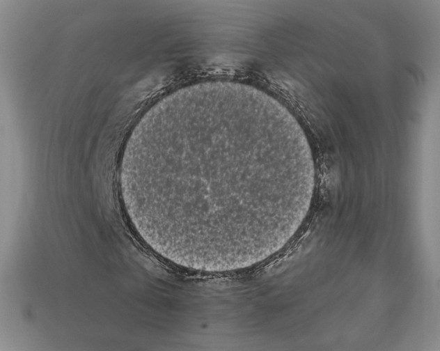X0000112040769200909141116