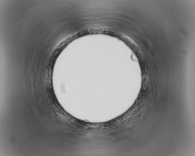 X0000112040775200909141116