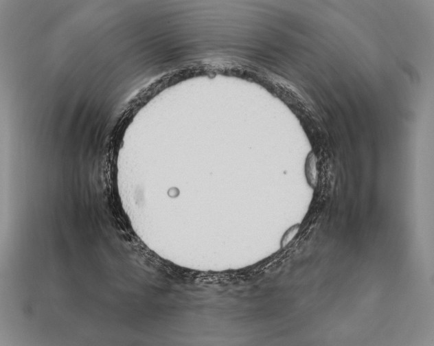 X0000112040776200909141116
