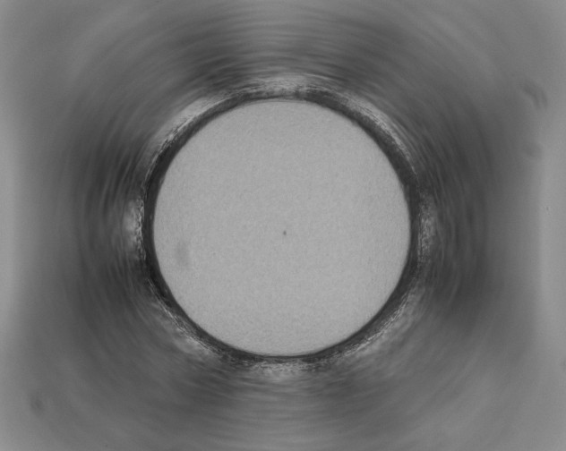 X0000112040778200909141116
