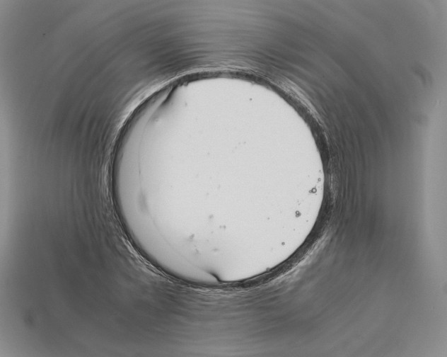 X0000112040781200909141116