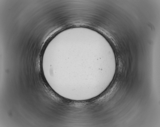 X0000112040782200909141116