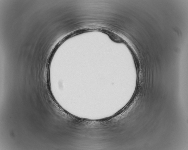 X0000112040783200909141116