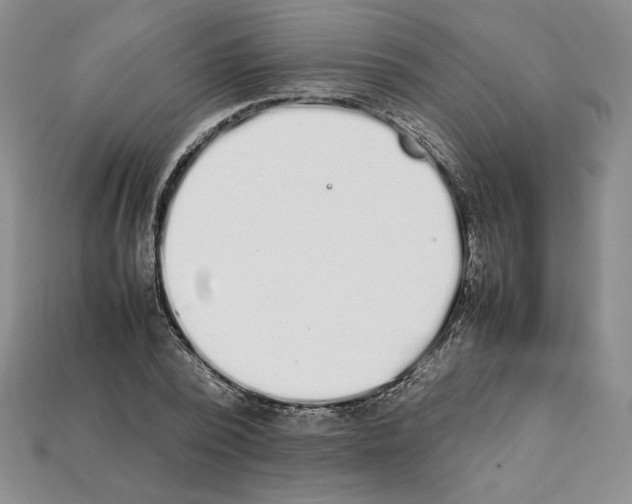 X0000112040784200909141116