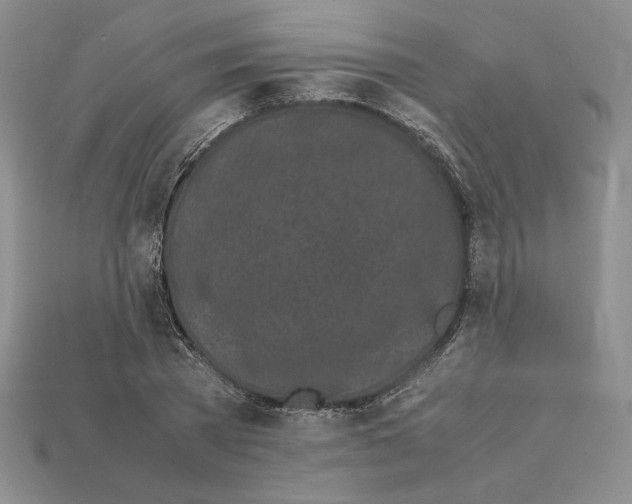 X0000112040785200909141116