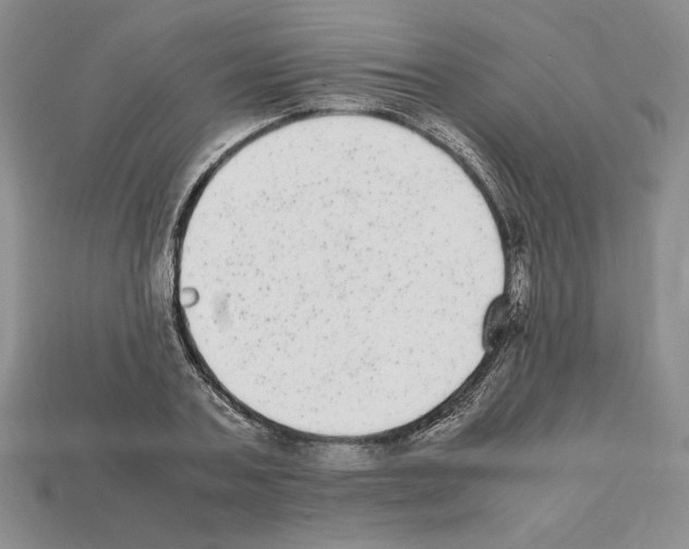 X0000112040787200909141116