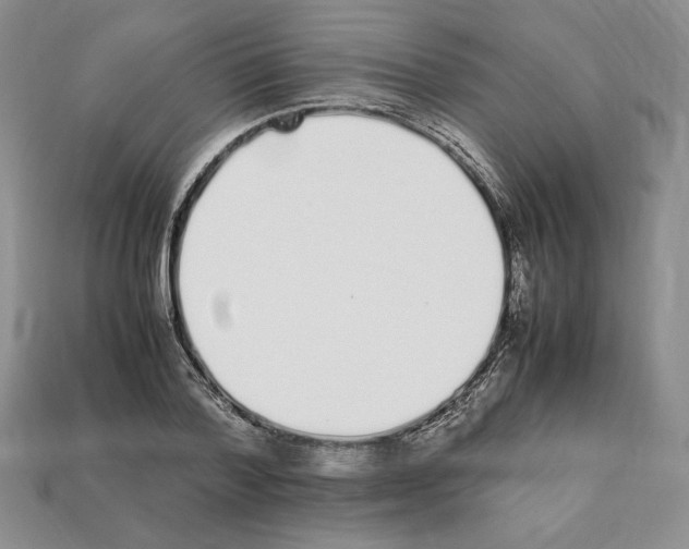 X0000112040788200909141116