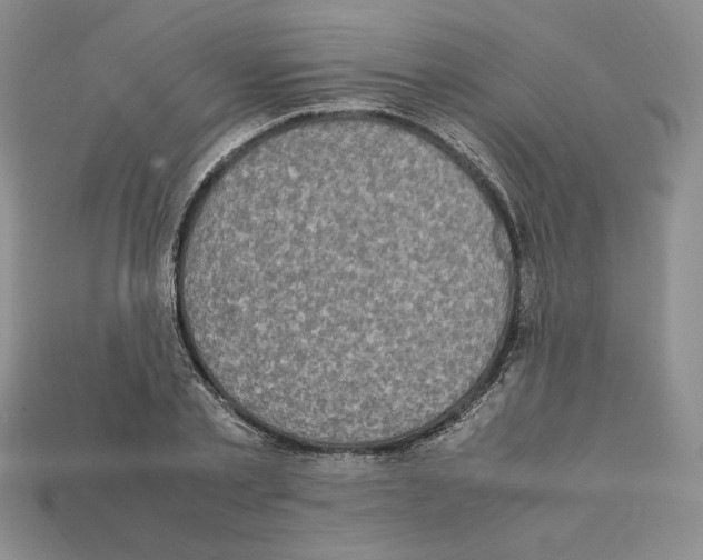 X0000112040789200909141116