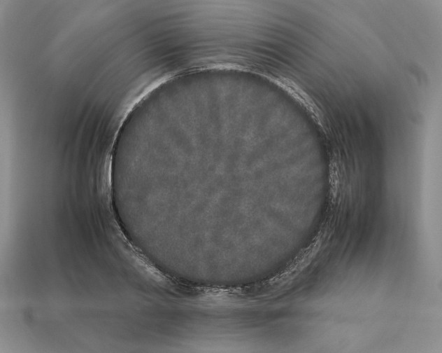 X0000112040790200909141116