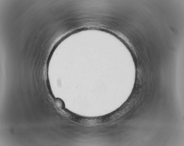 X0000112040791200909141116