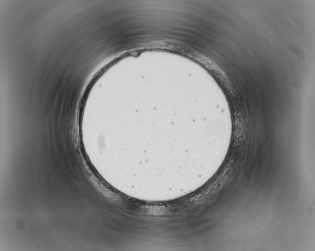 X0000112040792200909141116
