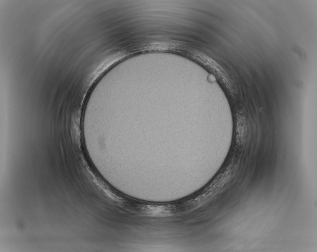 X0000112040794200909141116