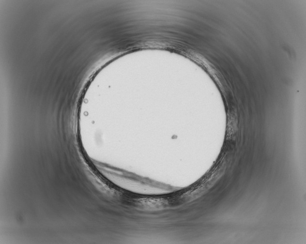 X0000112040795200909141116
