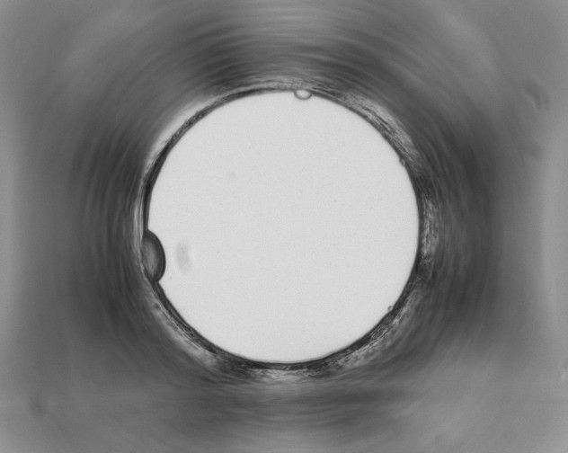 X0000112040796200909141116
