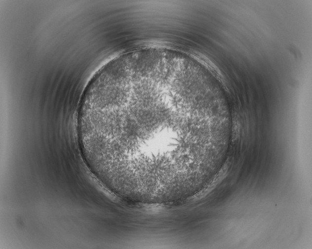X0000112040798200909141116
