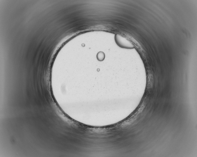 X0000112040800200909141116