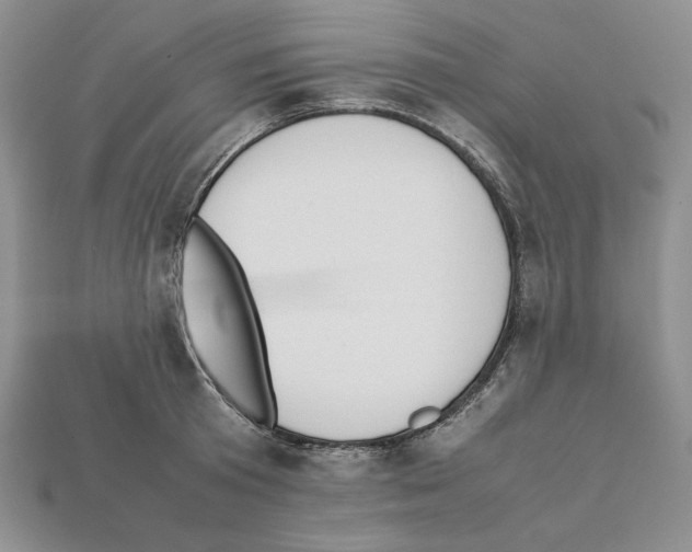 X0000112040801200909141116