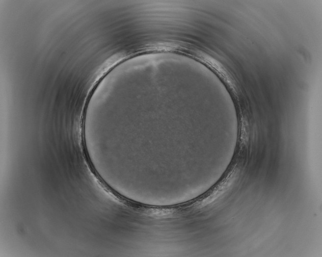 X0000112040802200909141116