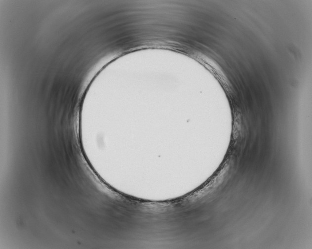 X0000112040804200909141116