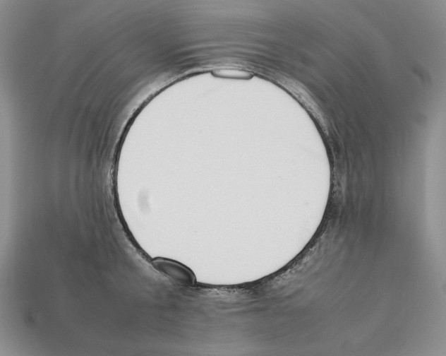 X0000112040805200909141116