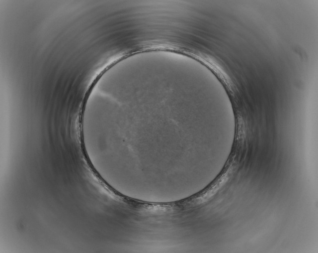 X0000112040806200909141116