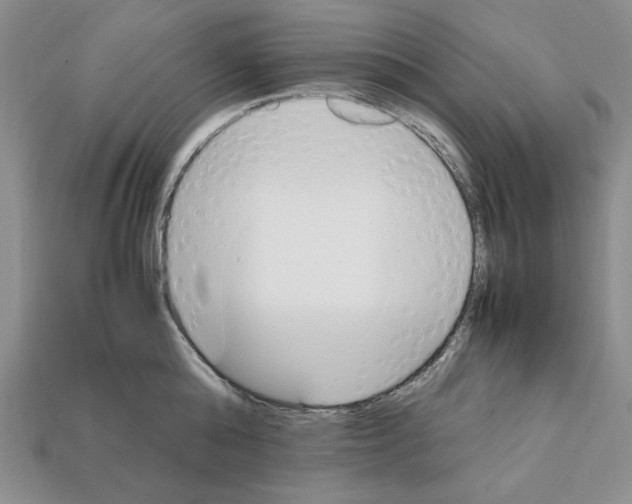 X0000112040808200909141116