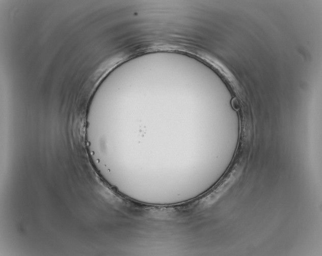 X0000112040809200909141116