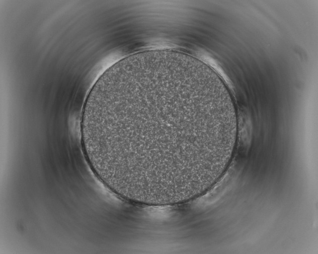 X0000112040810200909141116