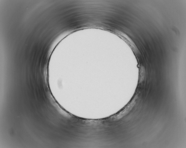 X0000112040812200909141116